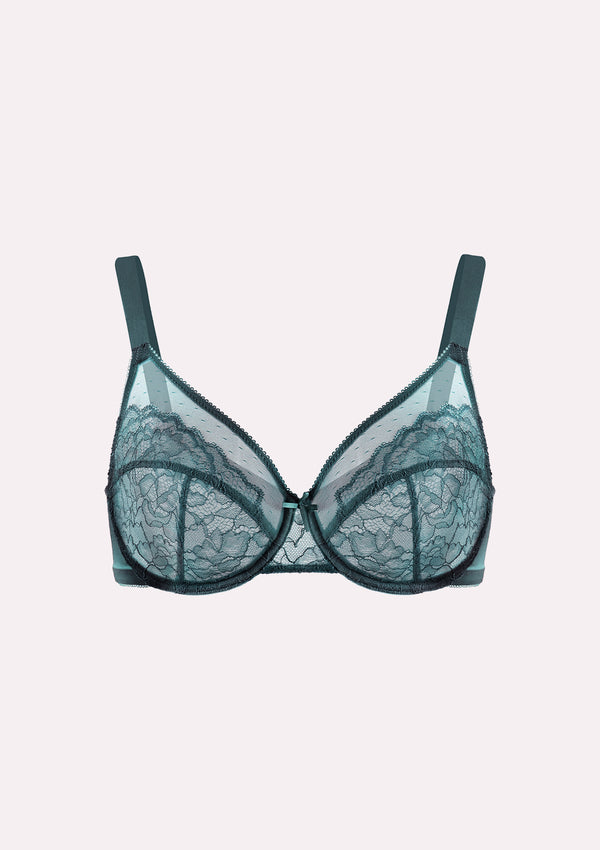 HSIA Enchante Lace Soft Mesh Blue Unlined Underwire Bra