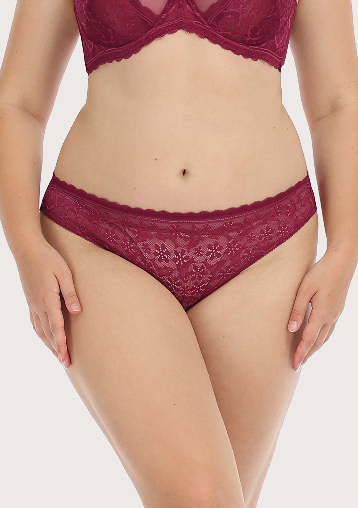 HSIA Anemone Lace Mesh Dolphin-Patterned Mid-low Rise Underwear