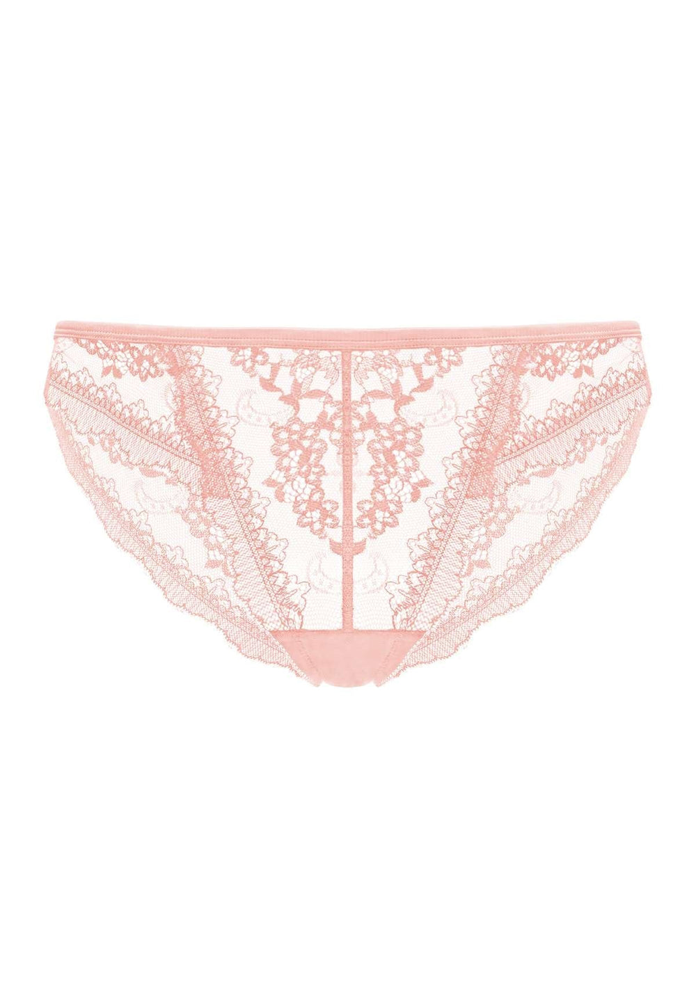 HSIA Anemone Lace Mesh Dolphin-Patterned Mid-Low Rise Bikini Underwear