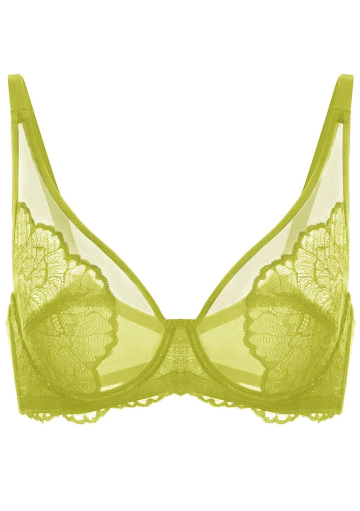 HSIA Blossom Transparent Lace Bra: Plus Size Wired Back Smoothing
