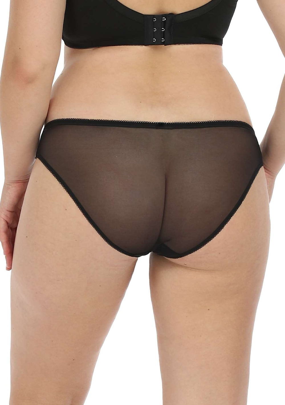 HSIA Anemone Lace Mesh Dolphin-Patterned Mid-low Rise Underwear