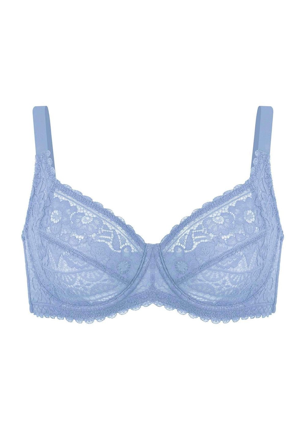 HSIA Blossom Blue Unlined Lace Bra - Blue Ashes / 42 / D