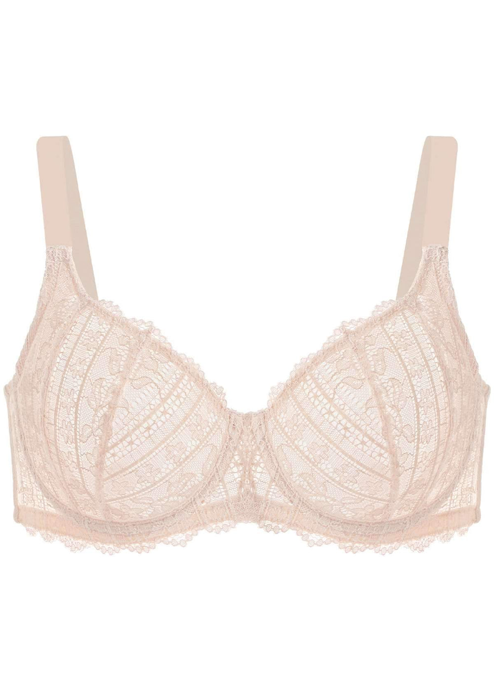 https://www.hsialife.com/cdn/shop/products/hsia-hsia-pink-vertical-lace-minimizer-bra-36484360765689.jpg?v=1686895995&width=1000